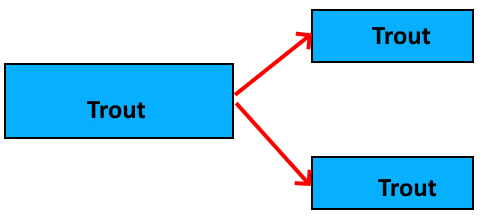 A graphical representation of moving fish from one rearing unit into two different rearing units.