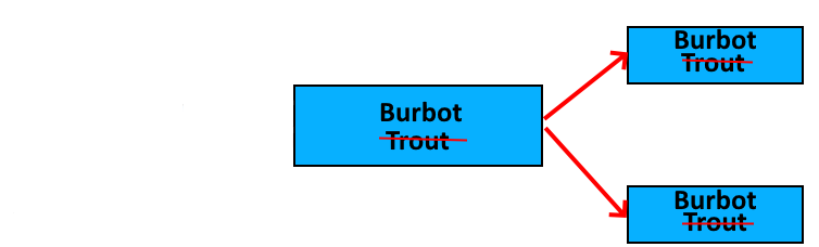 A graphical representation of how data flows along with fish from one rearing unit to two different rearing units. The depiction is of burbot being mistaken to be trout.